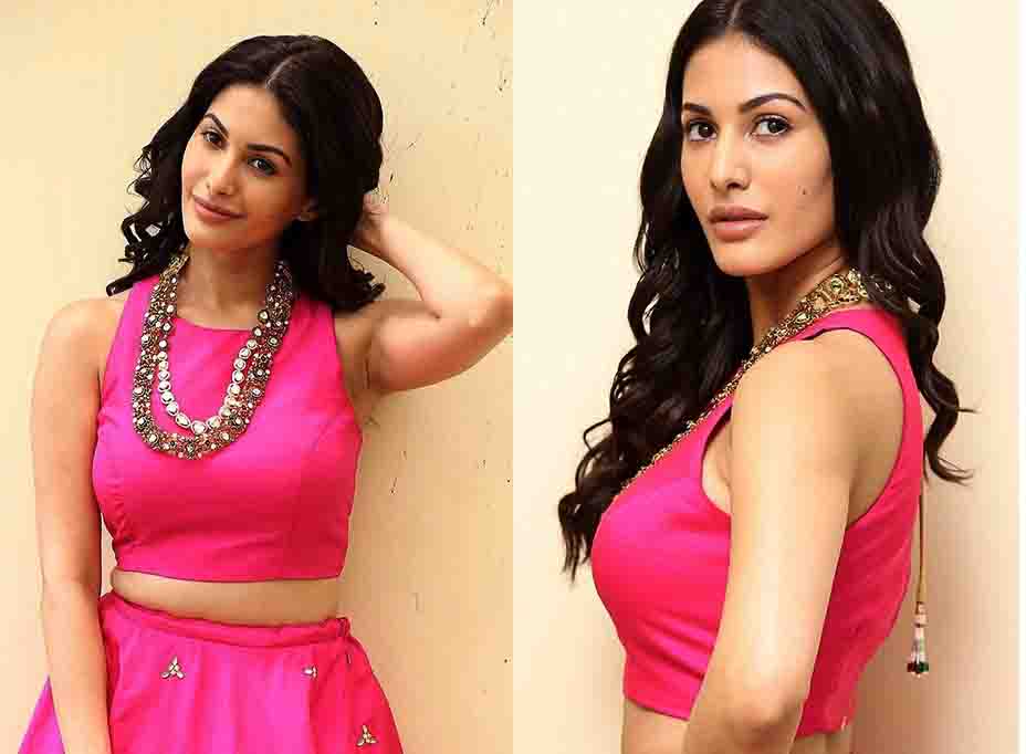 Amyra Dastur Looks Gorgeous in Pink Dress